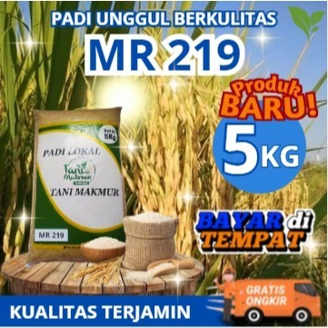 Benih Padi Unggul MR219 Bibit Padi MR 219 5kg