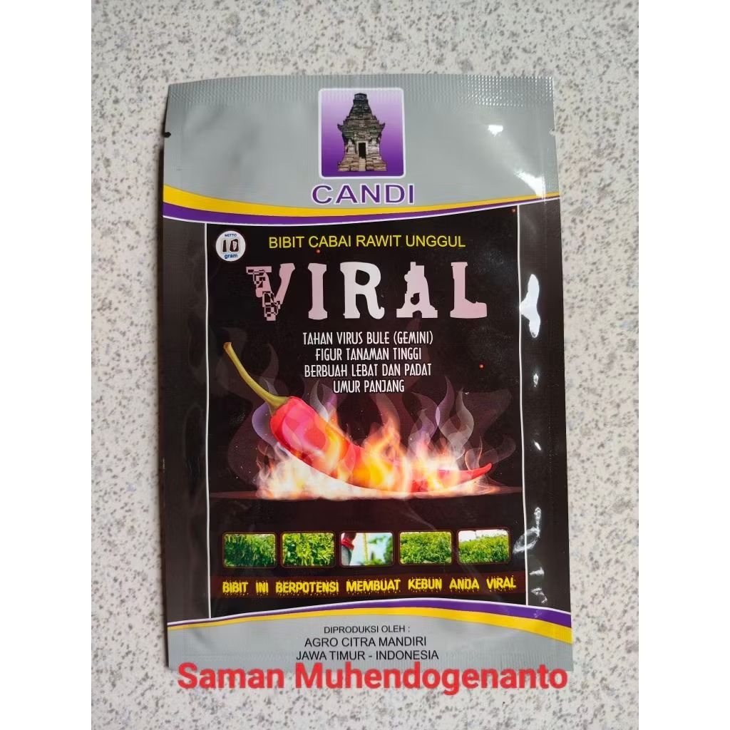 Benih Cabe Rawit VIRAL 10 gram Cap Candi - Bibit Cabai Rawit VIRAL