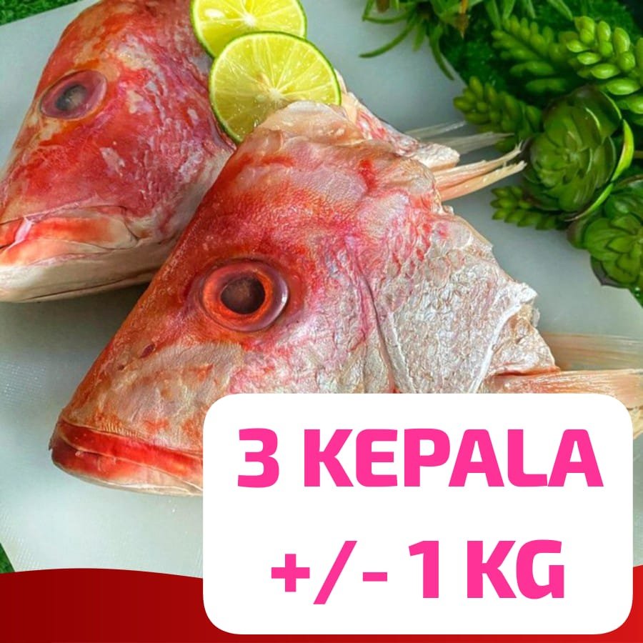 [ 3 KEPALA +/- SEKILO ] LEBIH HEMAT KEPALA IKAN KAKAP MERAH isi 3 Utuh +/- 1 KG Kualitas Premium Sup
