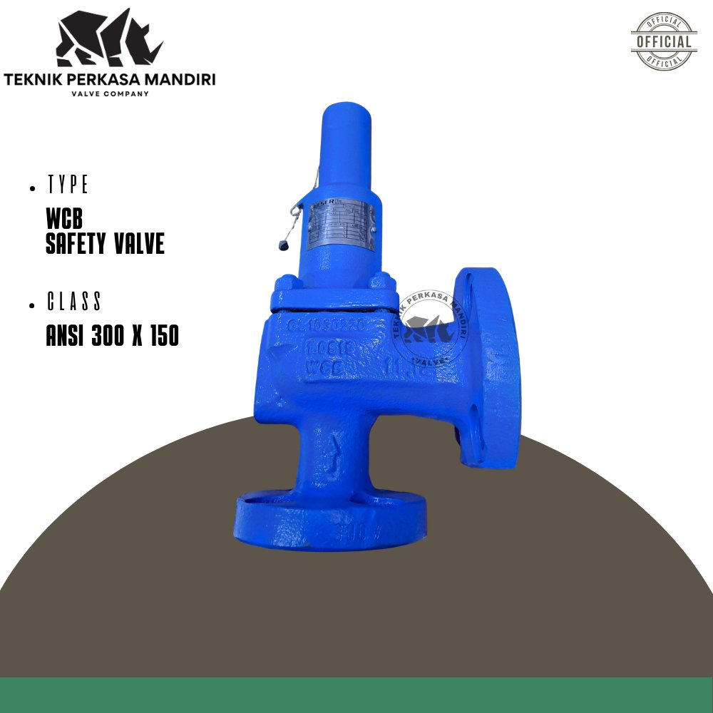 SAFETY LESER WCB 1" x 2" INCH FLANGE ANSI 300 x 150
