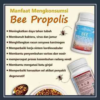Bee Propolis Original 100% - ( Suplemen Madu HDI Meningkatkan Sistem kekebalan ) Original 100%