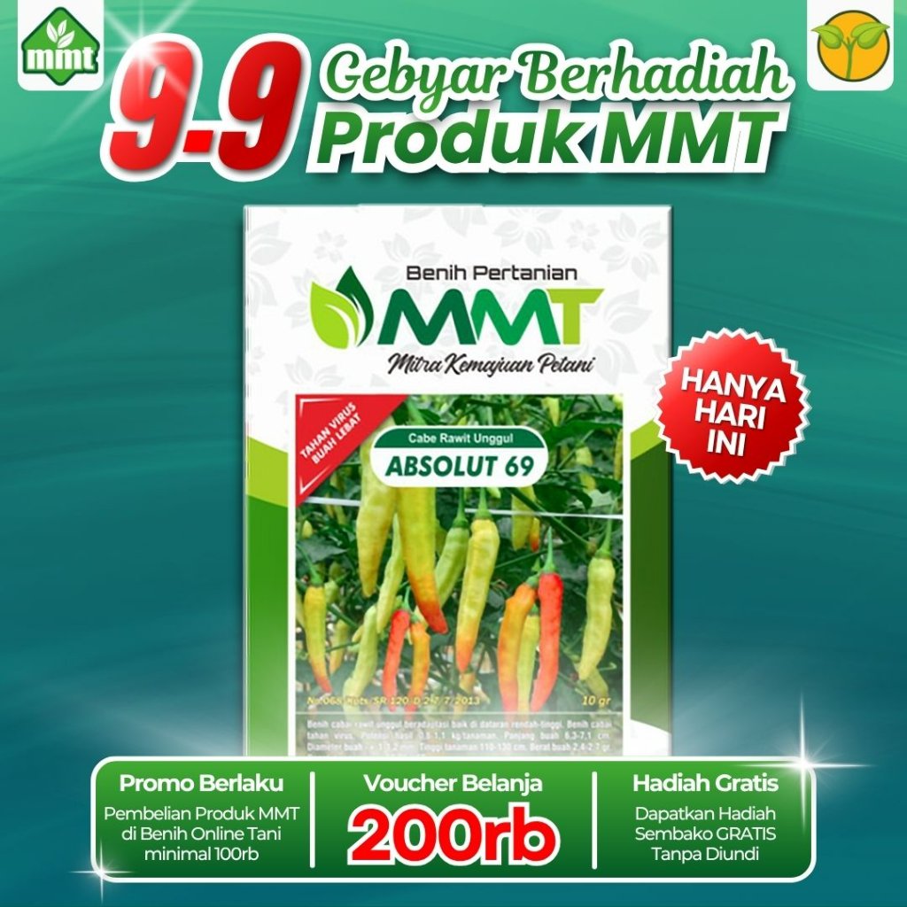 BENIH CABE RAWIT UNGGUL ABSOLUT 69 10 GRAM MMT