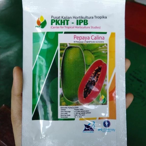 BENIH PEPAYA CALINA CALIFORNIA IPB ISI 250 butir PKHT IPB original