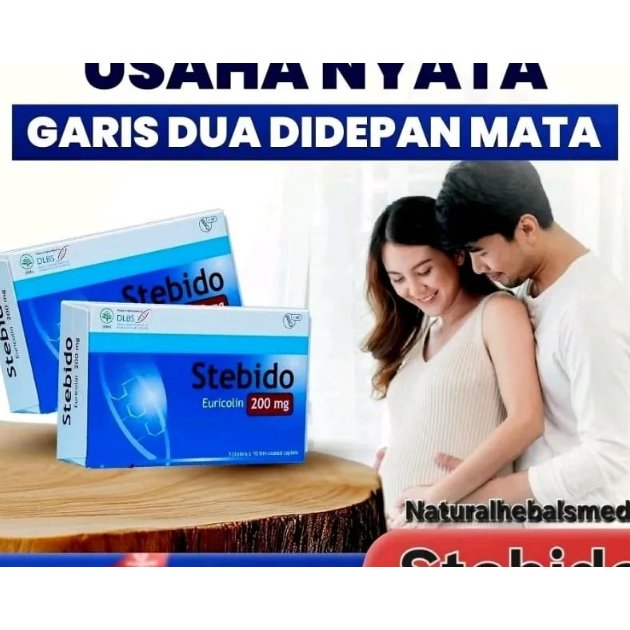Stebido Asli OriginaL Untuk Pria 30 Kaplet