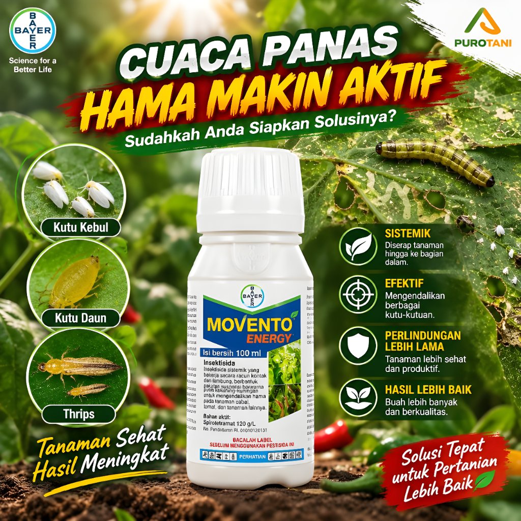 Insektisida Movento Energy Bayer 100ml | Obat Kutu Kebul Kutu Daun Thrips | Insektisida Sistemik Tan