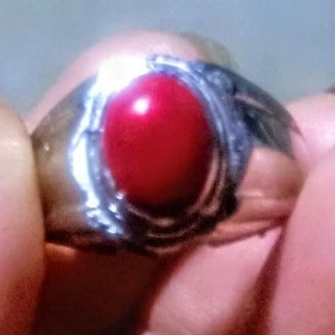 Natural Coral Marjan Laut Merah