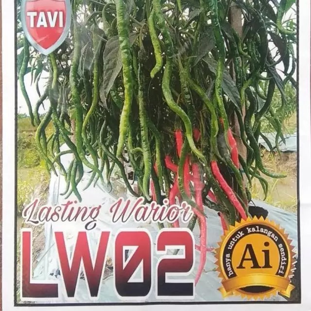 Benih Cabe inbred Tangguh LW 02 (bisa COD)