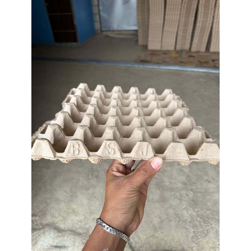 Egg Tray Telur Karton Ayam Bebek Baru