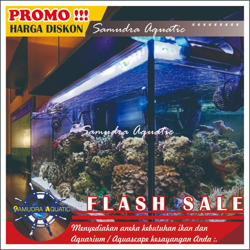 AQUARIUM OPTIC CLEAR BESAR AQUASCAPE | AQUARIUM OPTIC CLEAR | AQUARIUM KACA BENING | (KHUSUS INSTAN)