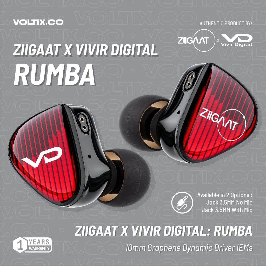 Linsoul ZiiGaat x Vivir Digital: RUMBA 10mm Graphene Dynamic Driver In-Ear Monitor with Balanced Ton