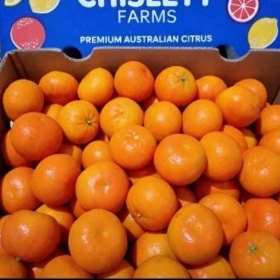 Jeruk Afourer Australia Super Fresh 1kg / Jeruk australia Mandarin Juice
