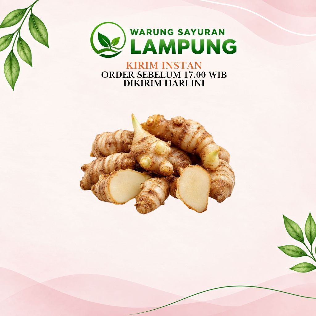Kencur Segar | Warung Sayuran Lampung