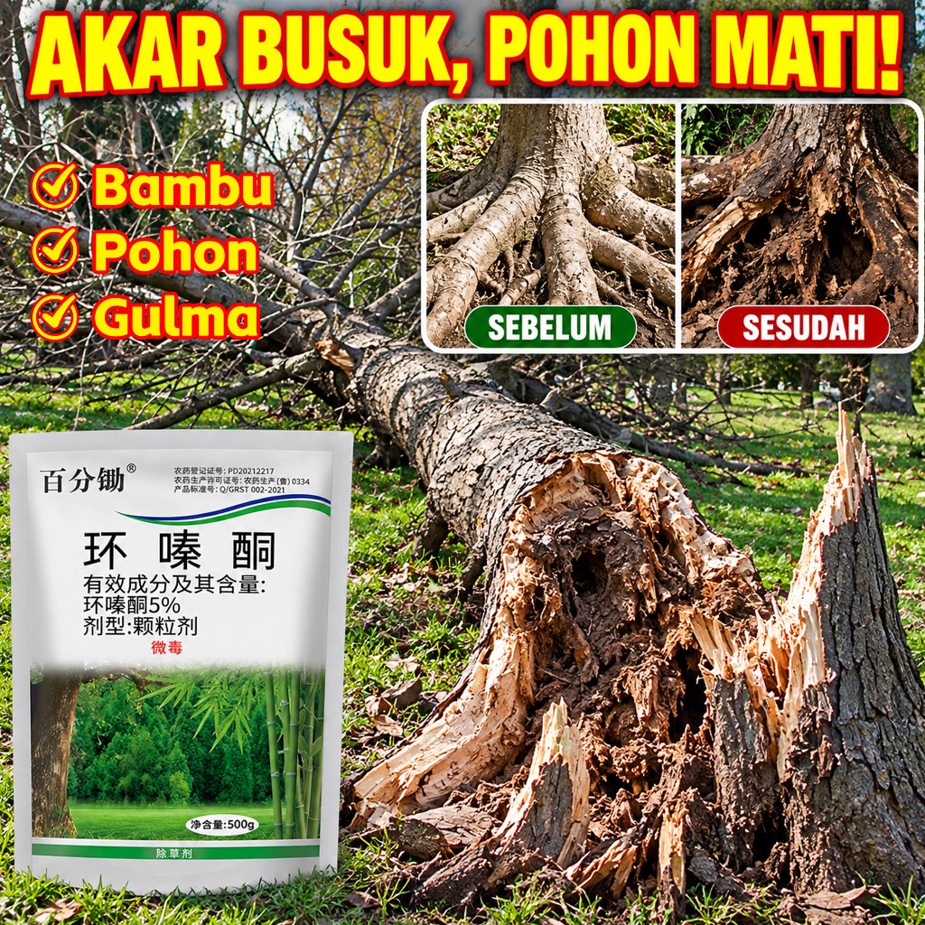 racun rumput paling ampuh herbisida pembasmi rumput liar racun pohon besar ampuh obat pembasmi rumpu