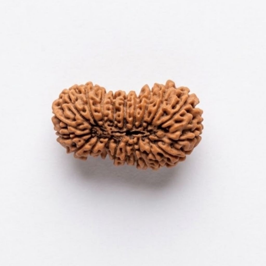 Mukhi 21