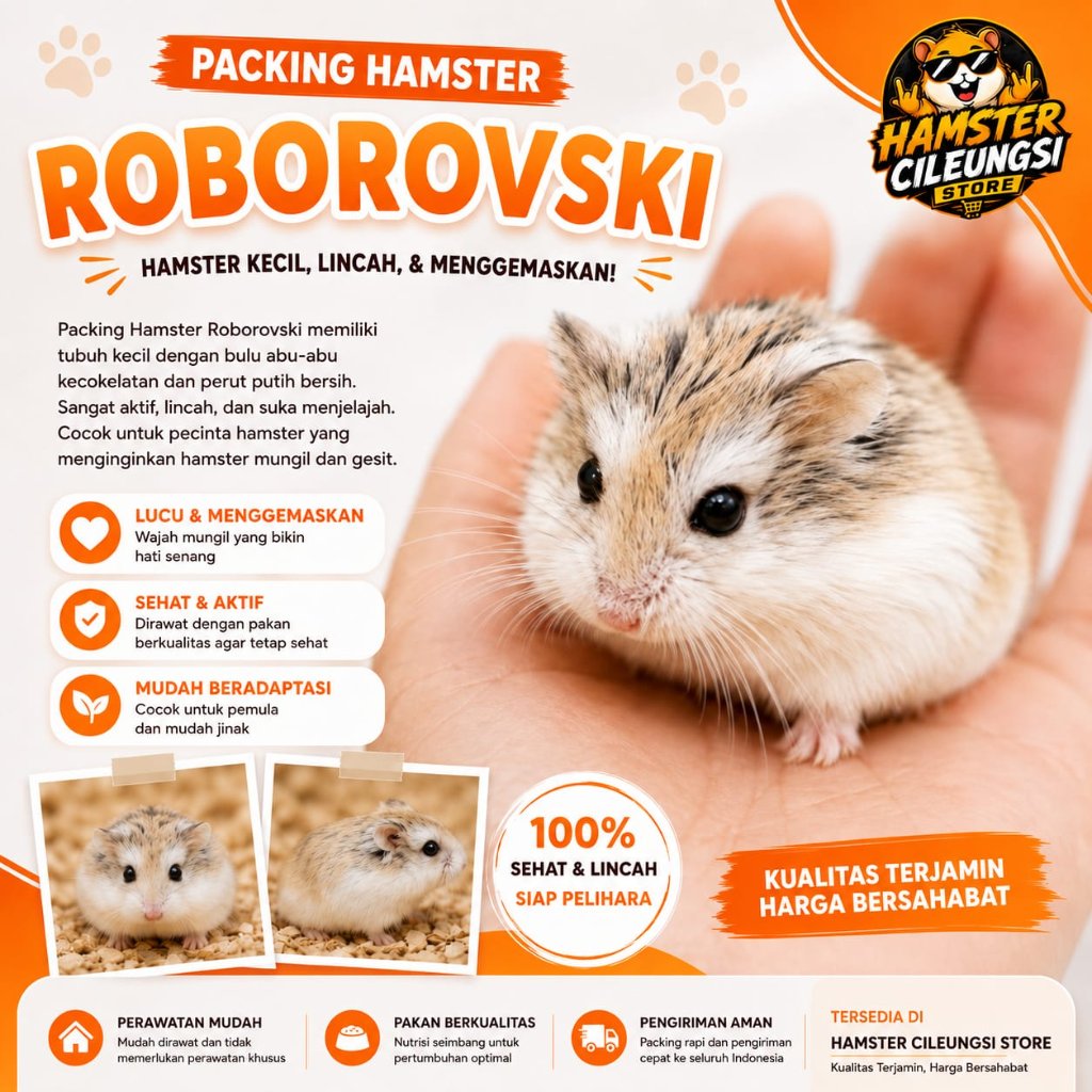 PACKING HAMSTER ROBOROVSKI