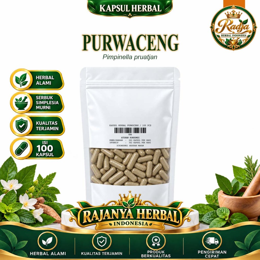 Kapsul Purwaceng Purwoceng Curah Herbal 200 Kapsul 600 mg Pimpinella pruatjan