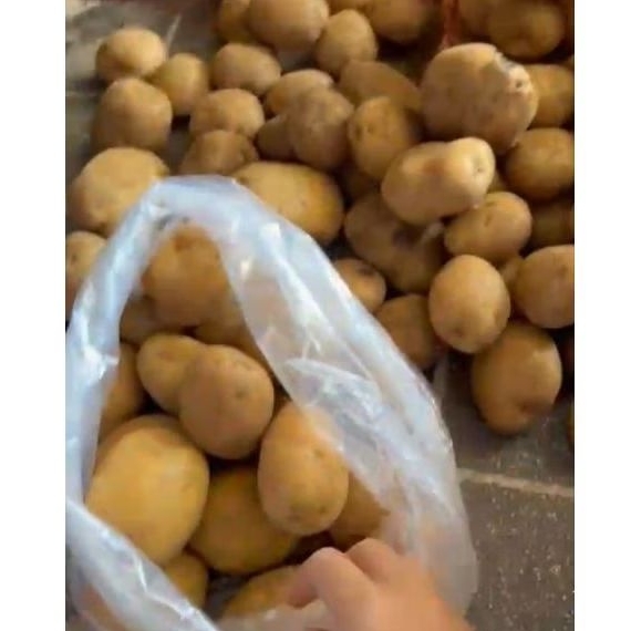 Kentang 1kg