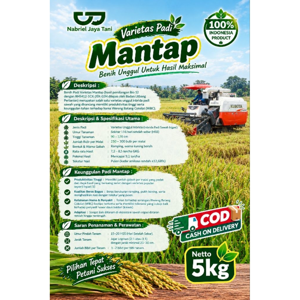 Benih Padi Varietas Mantap Nabriel Jaya Tani Benih Unggul untuk Hasil Maksimal 5kg