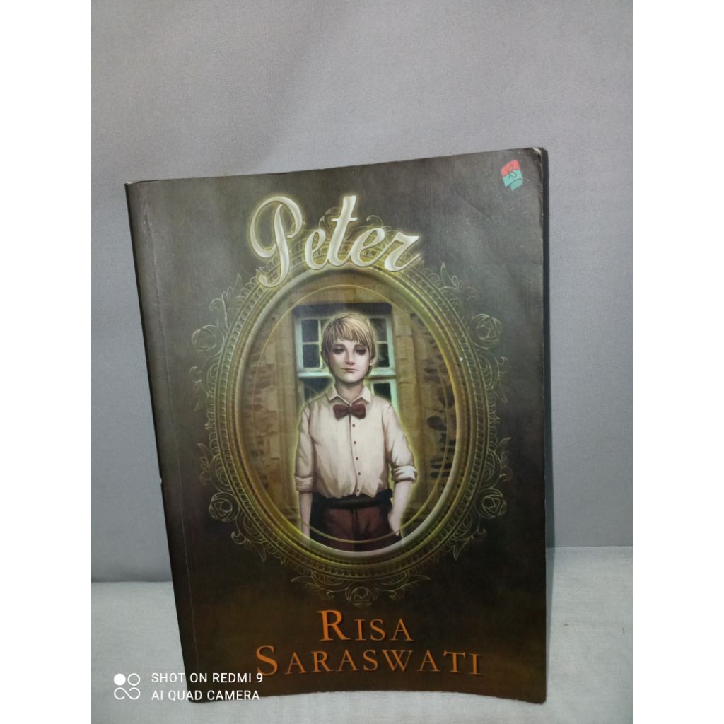 Preloved ORIGINAL Novel Peter by Risa Saraswati Bekas Penerbit Bukune Second Unhaul PL Buku Murah Wa