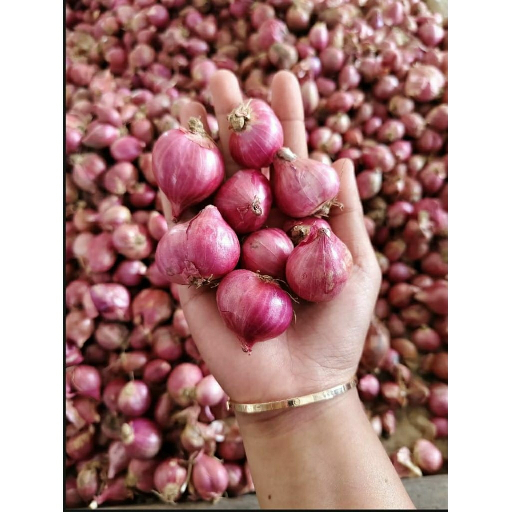 

bawang merah murah berkualitas|bawang merah/bumbu masak