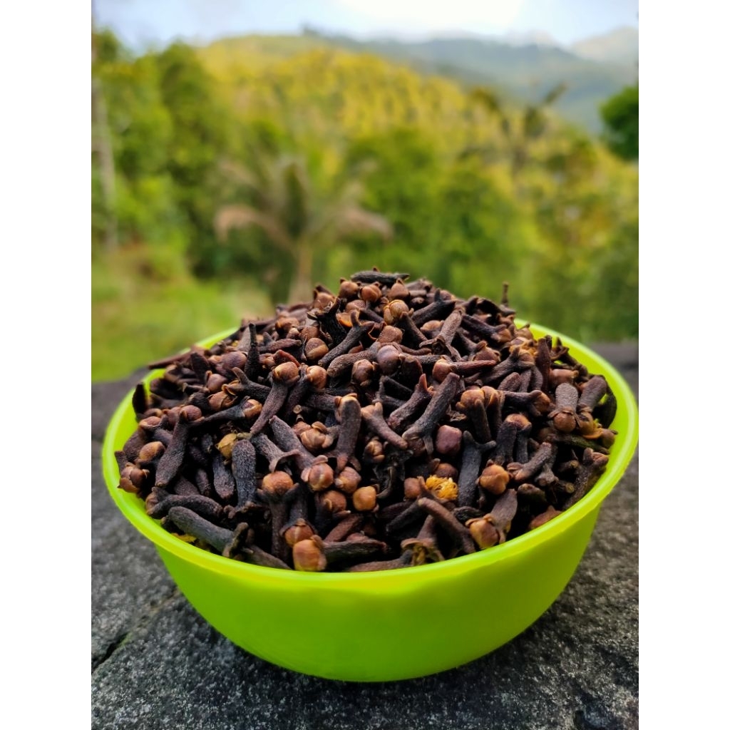 

Cengkeh Kering Premium 50 Gram | Rempah Asli Indonesia | Bumbu Masakan & Herbal