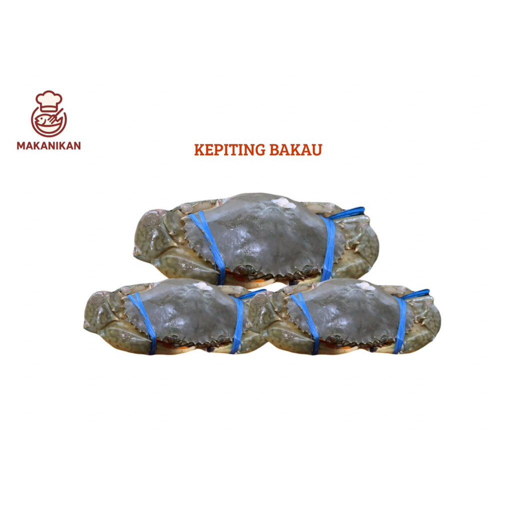 

Kepiting Bakau/Kepiting Fresh/Kepiting 1 kg