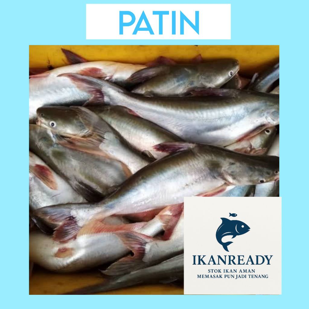 

Ikan Patin Segar 1Kg – Langsung dari Peternak | IkanReady Ikan Patin Potong Siap Masak – Bersih dan Higienis