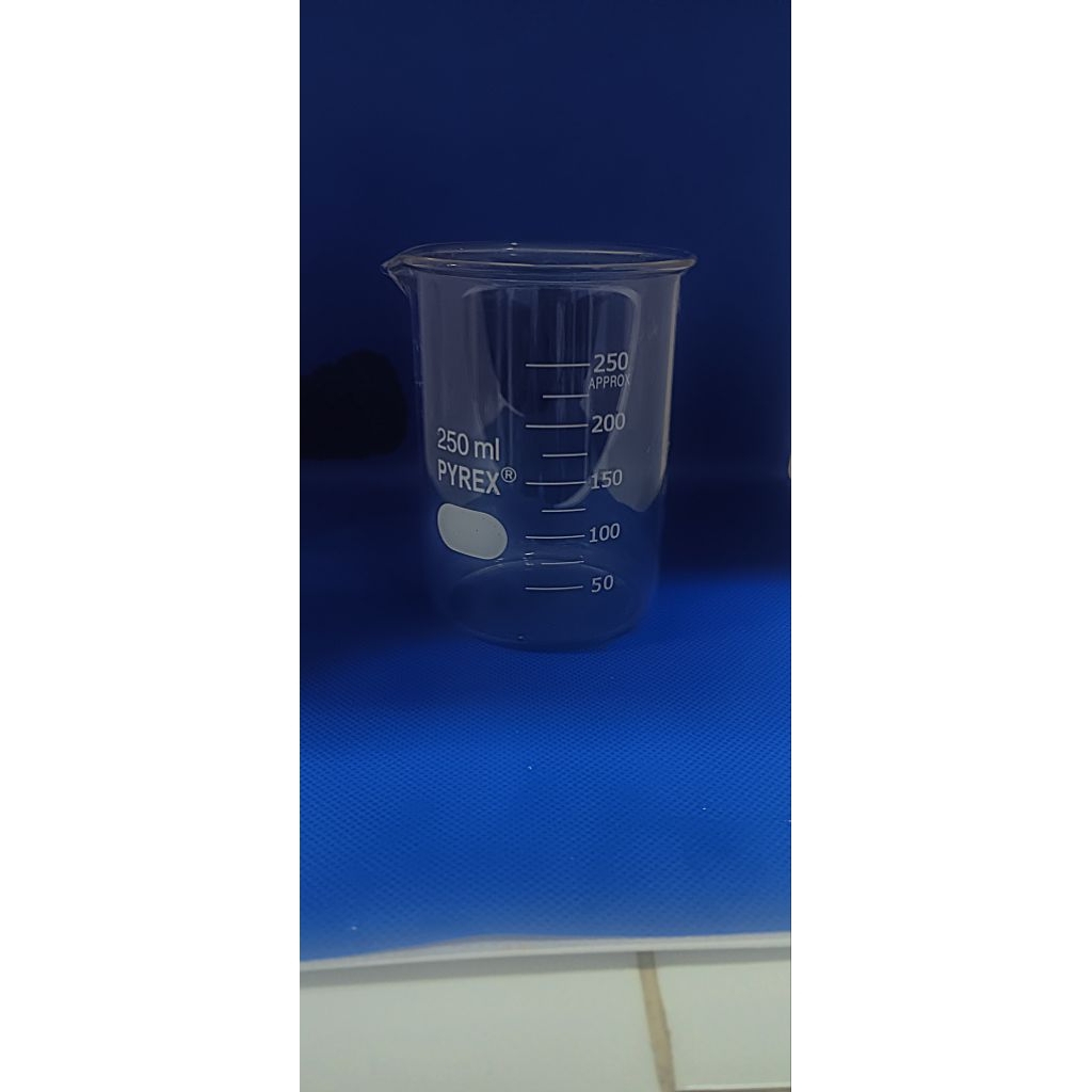 Beaker glass 250ml
