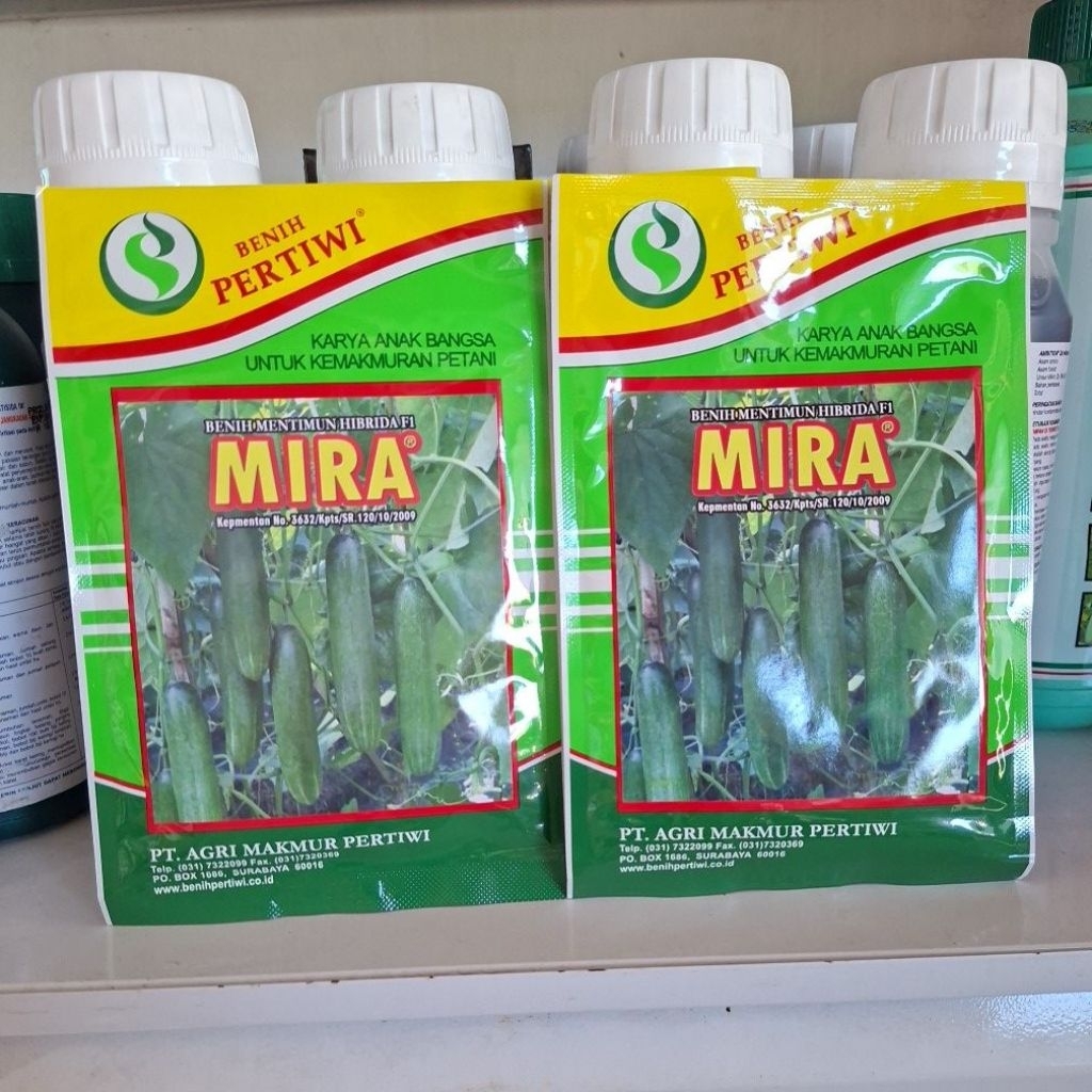 Bibit Timun Mira F1 Pertiwi 25gr
