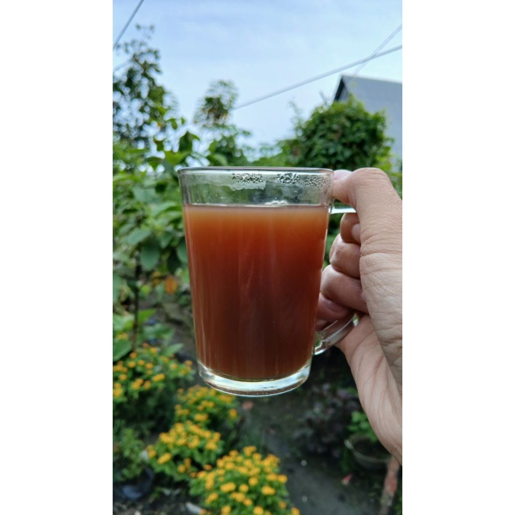 

Jahe Merah TRI'ER Varian Instan Aren Herbal Praktis tanpa ampas