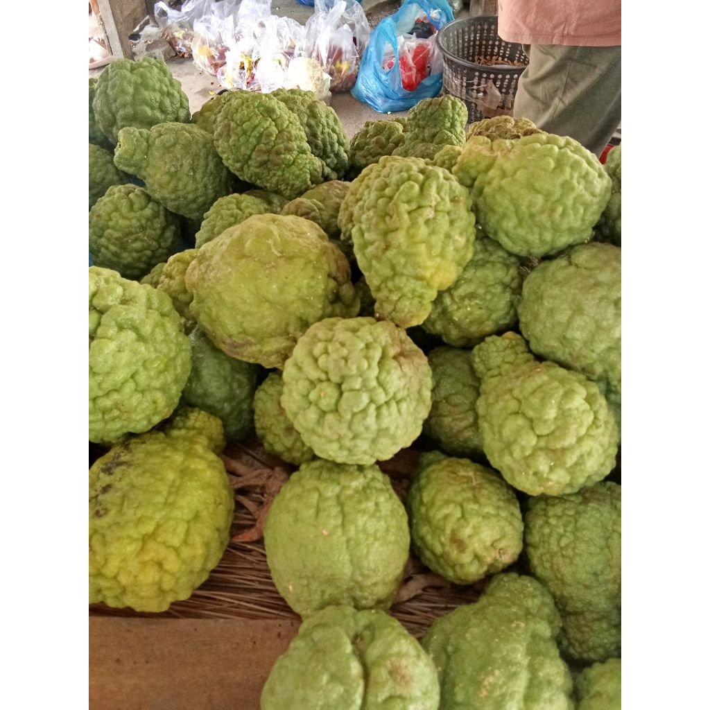 

JERUK GAJAH CANTIK SEGER FREES BESAR PER 1PCS