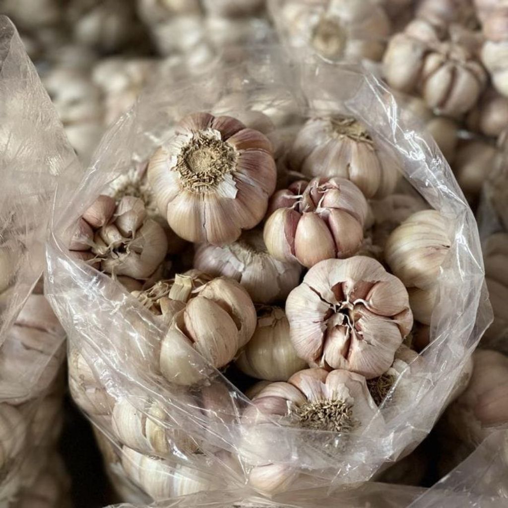 

Bawang Kating Bawang Putih 100gr 250gr 500gr 1000gr