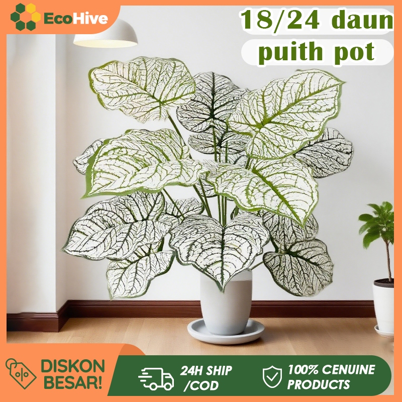 Daun Dekorasi Daun Aglonema Plastik Bunga Hias Plastik Daun Jumbo Bunga Sudut Rumah Bunga Hiasan Run