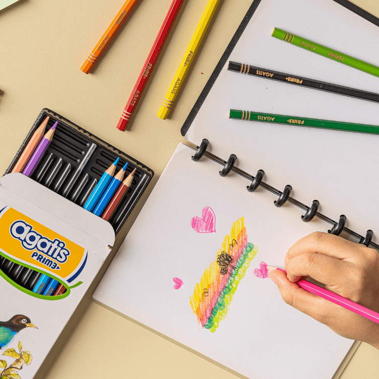 

Asaba Stationery - Pensil Warna Agatis Prime 12 Warna/pensil warna murah isi 12pcs