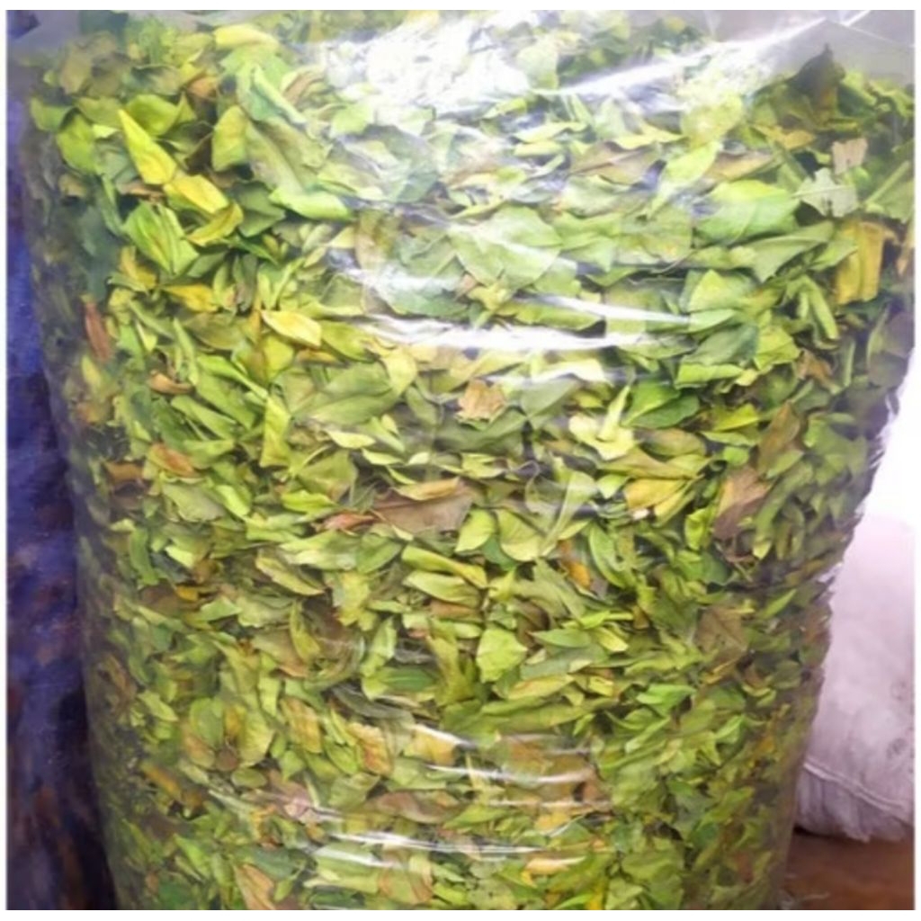 

Daun Jeruk Kering 50gr