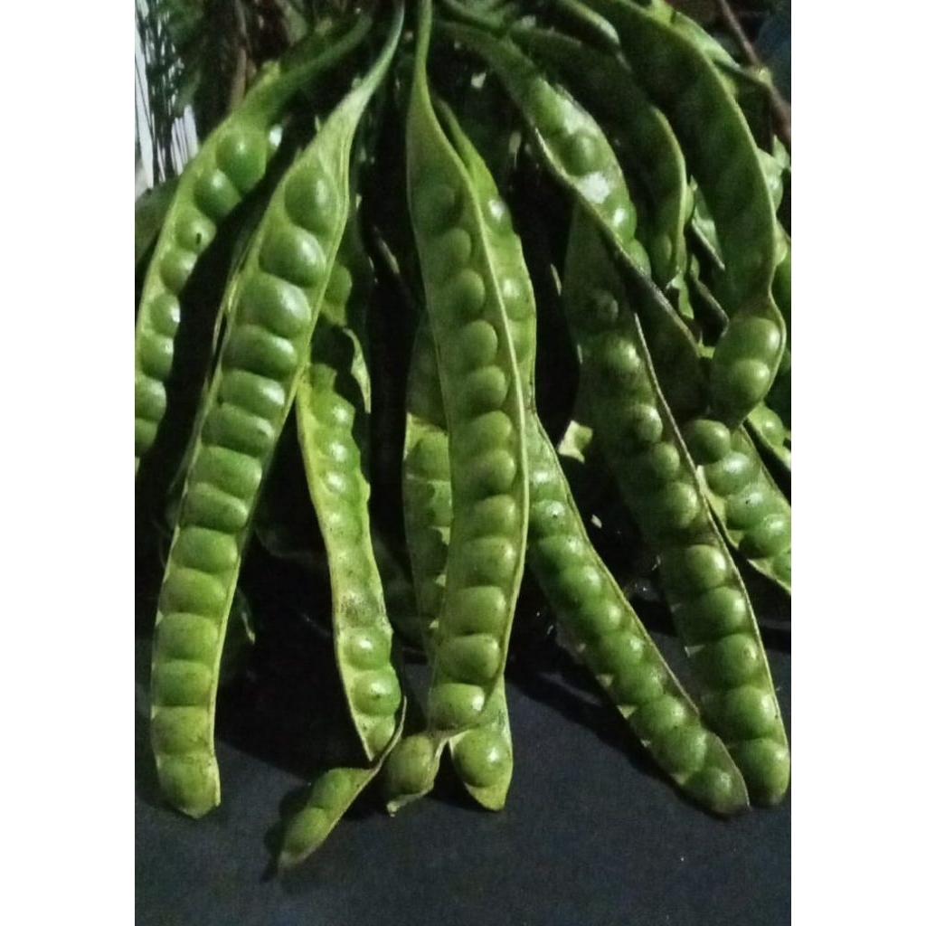 

PETE SUPERAN 45.000/iket isi 10lonjor