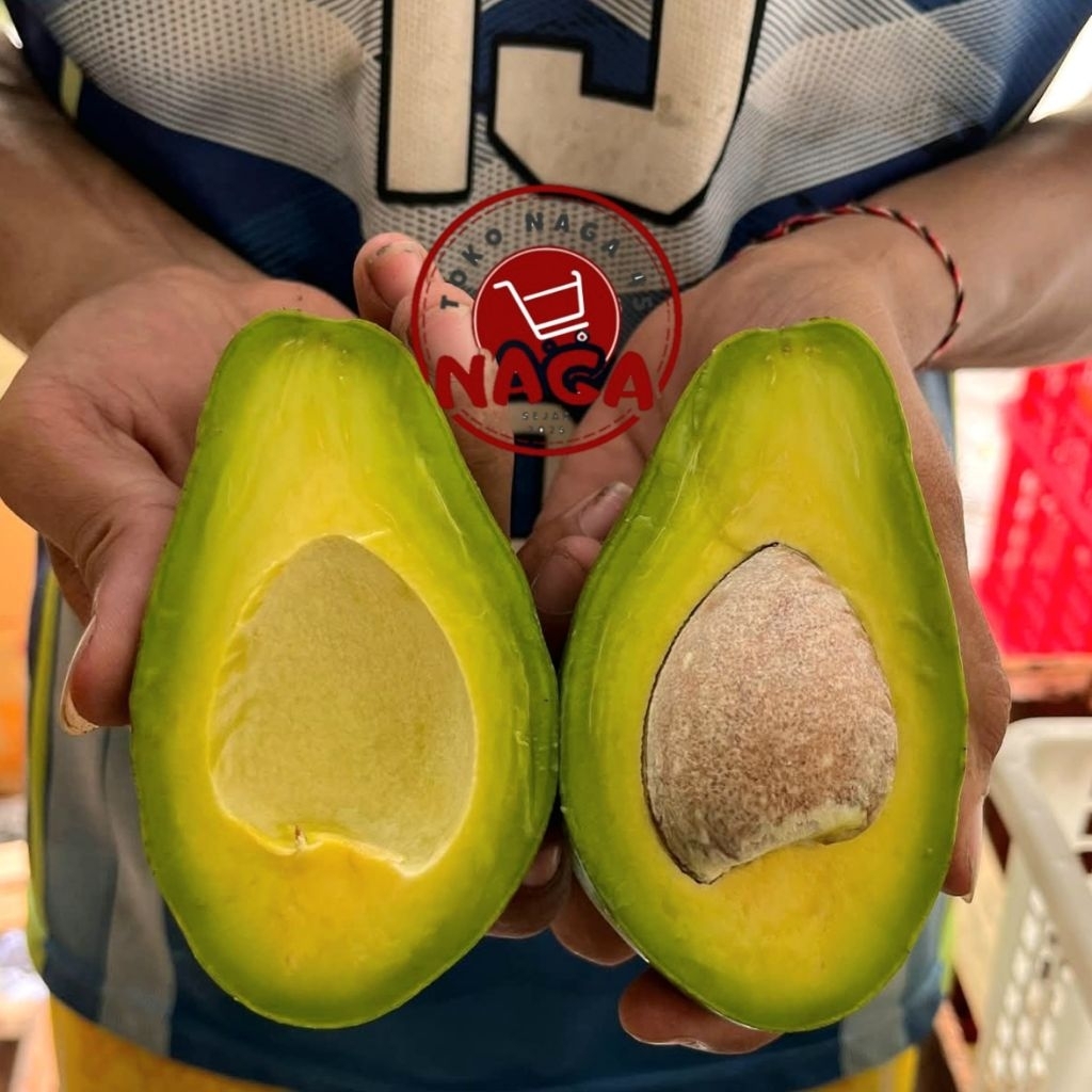 

ALPUKAT MENTEGA SUPER HARGA GROSIR ECER MURAH