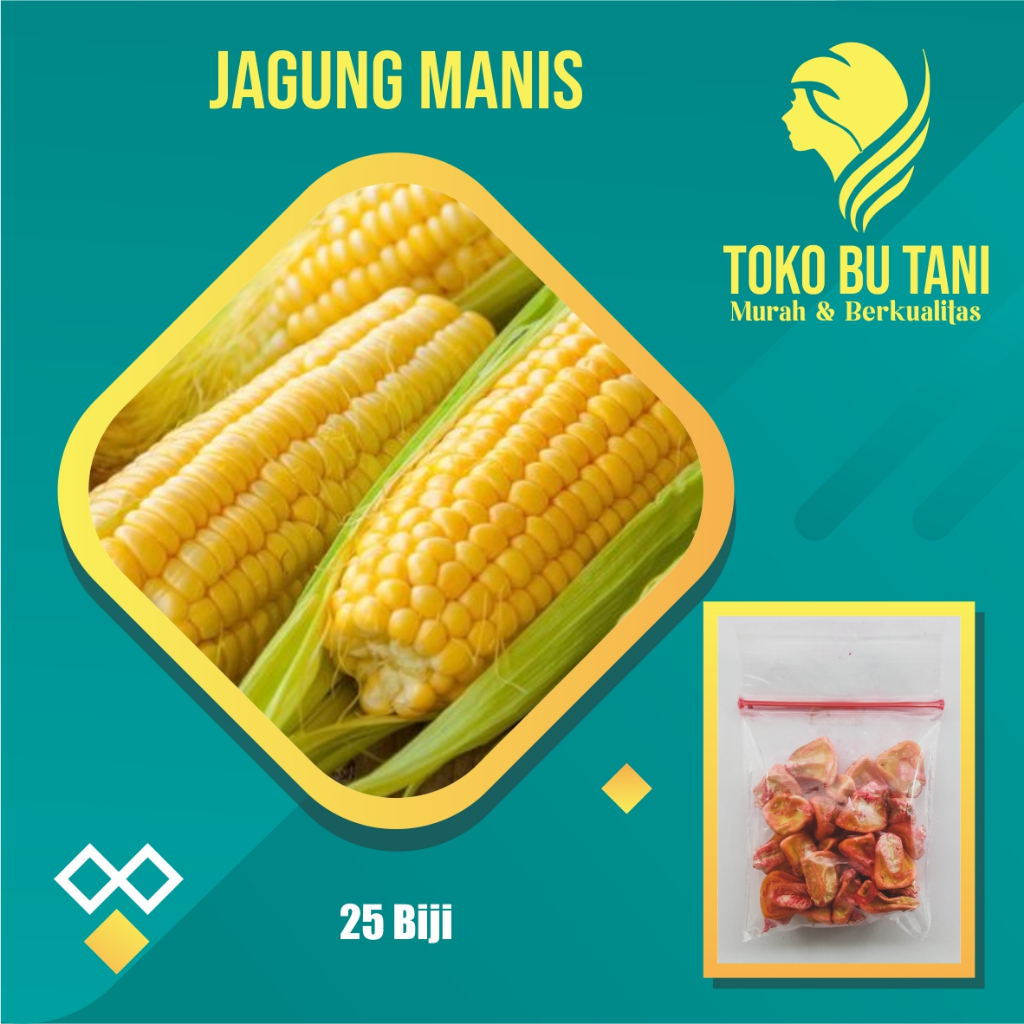BTN Bibit Jagung Manis Benih Jagung Manis Unggul Bibit Sayuran Berkualitas