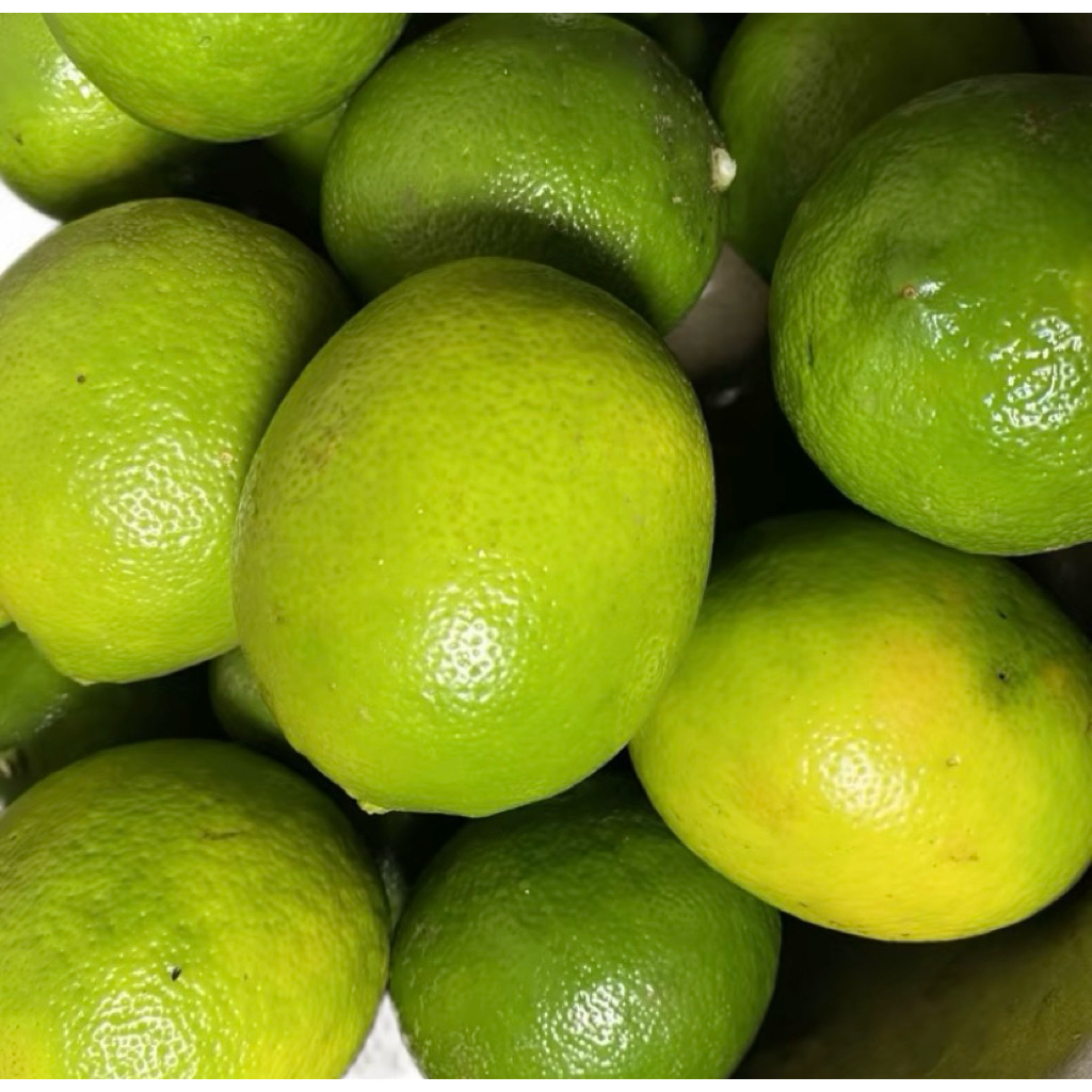 

jeruk nifis fresss segar 500grm/1kg