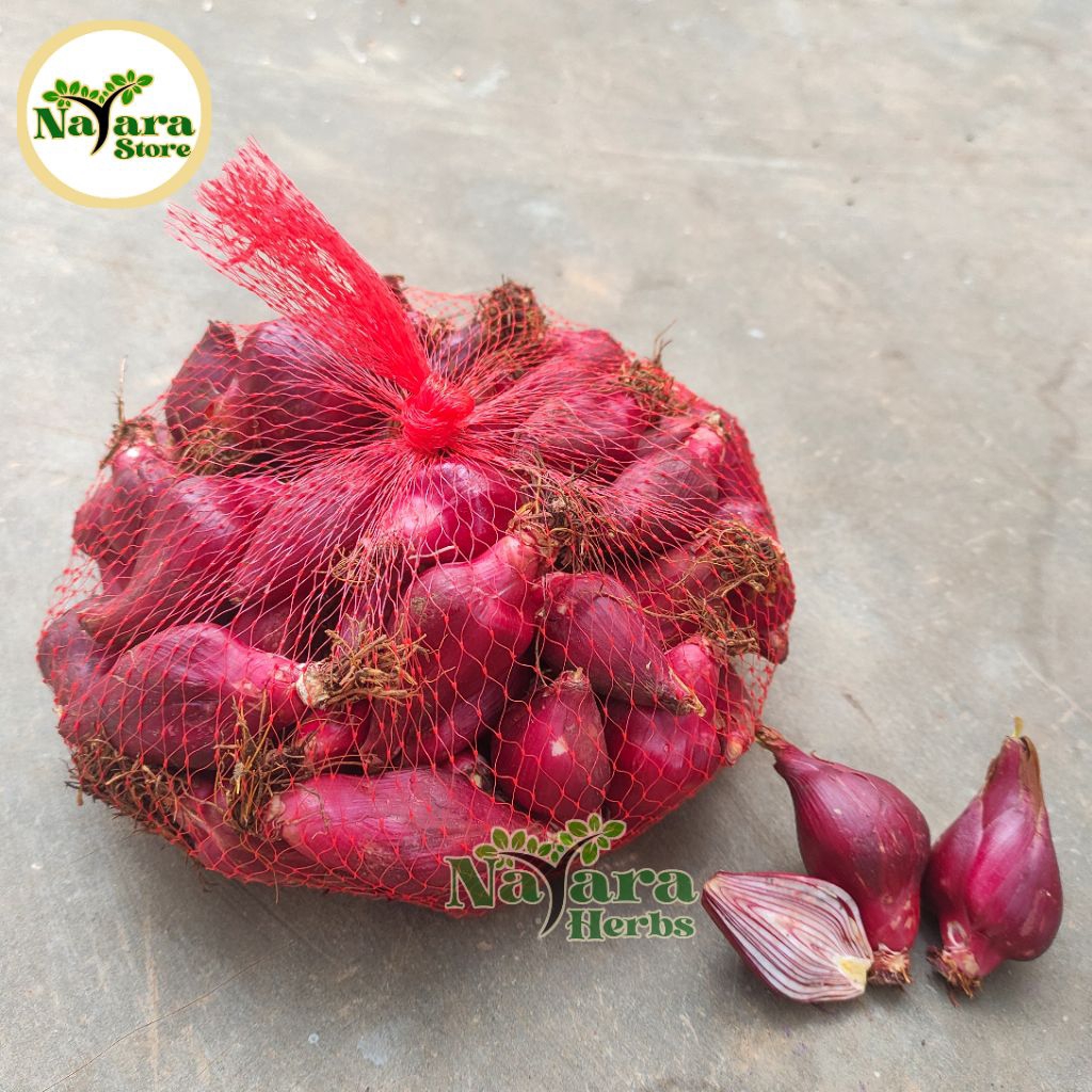 

Bawang Dayak Segar 1kg Bawang Dayak Asli Herbal Alami ORIGINAL 100%