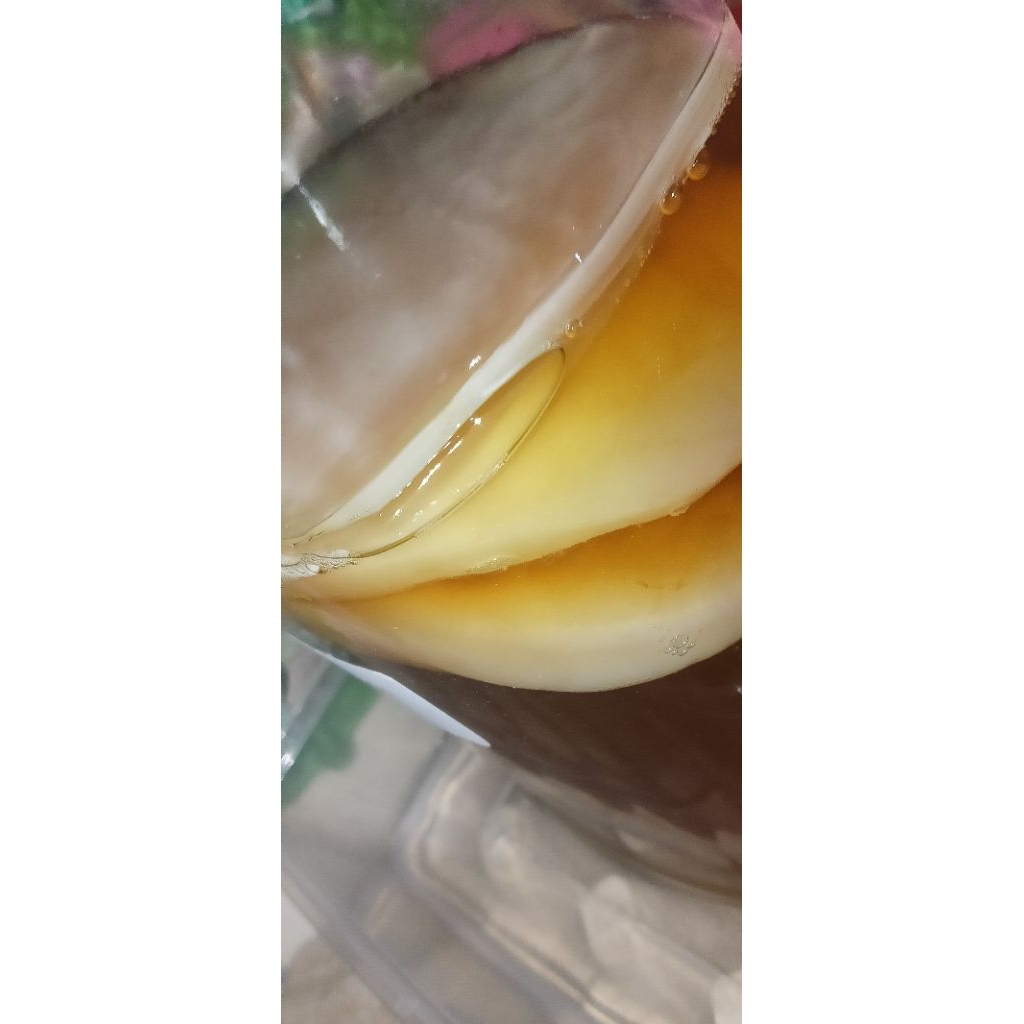 

SCOBY KOMBUCHA PREMIUM TEBAL + STARTER