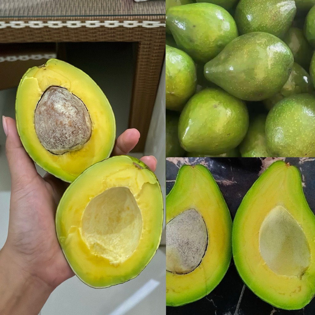 

Alpukat Mentega Blitar / Grade B / Alpukat Kelud / Alpukat Blitar