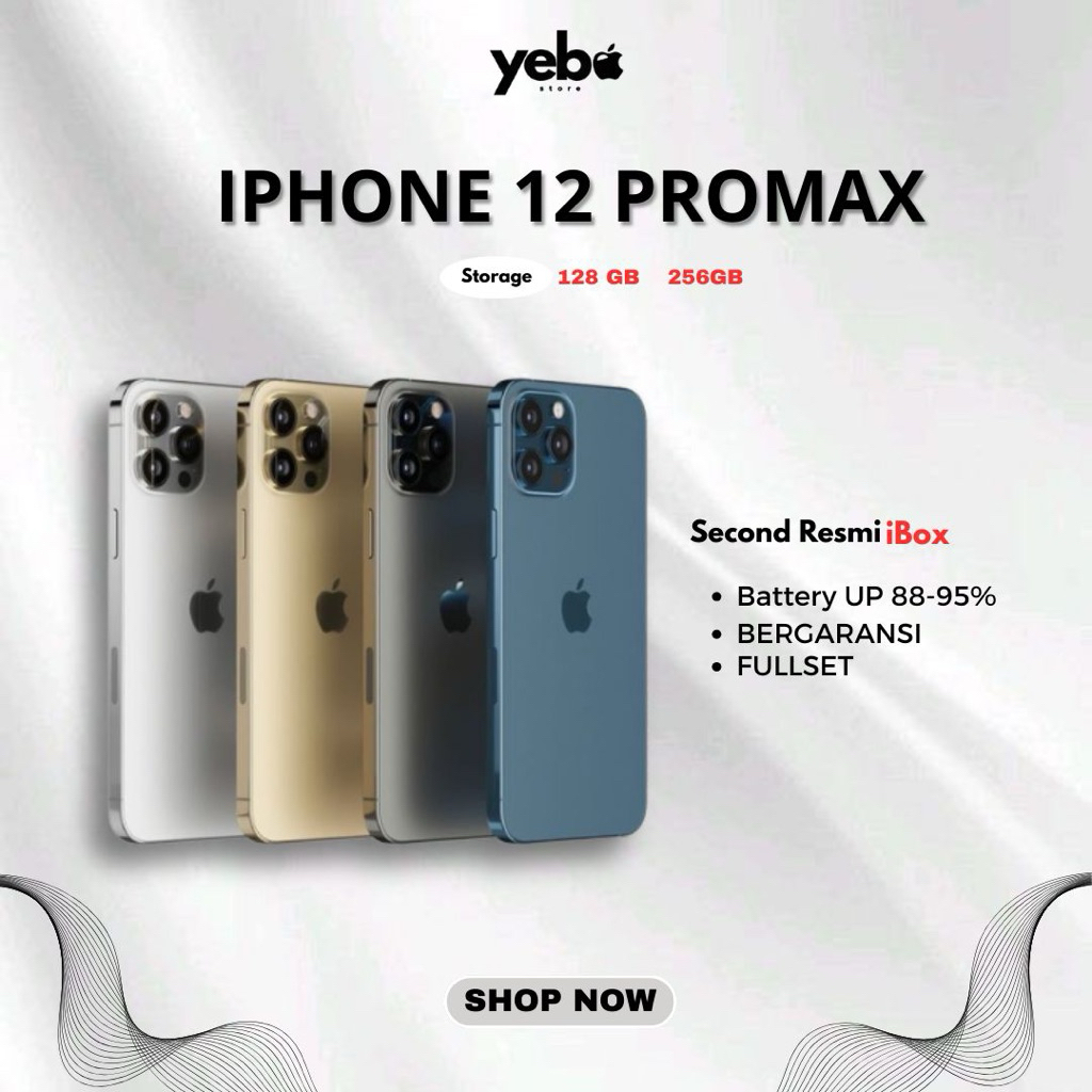 iPhone 12 Pro Max 256 iBox