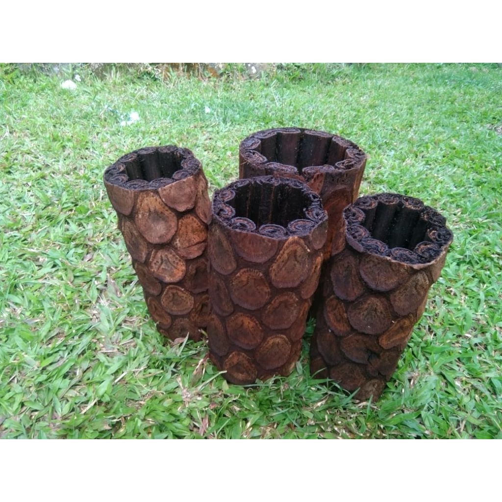 pot anggrek batang pakis bulat