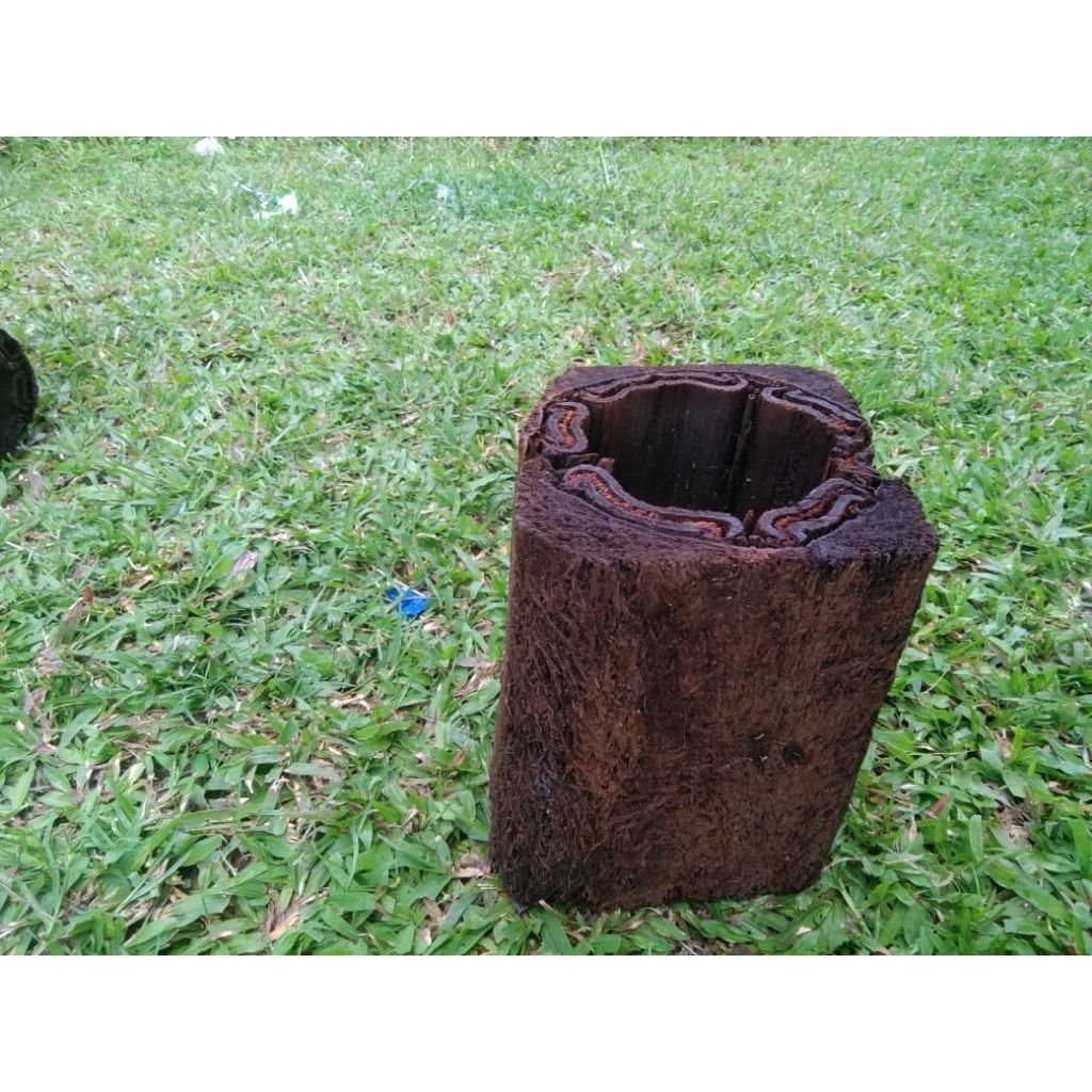 pot anggrek/tanaman batang pakis kotak