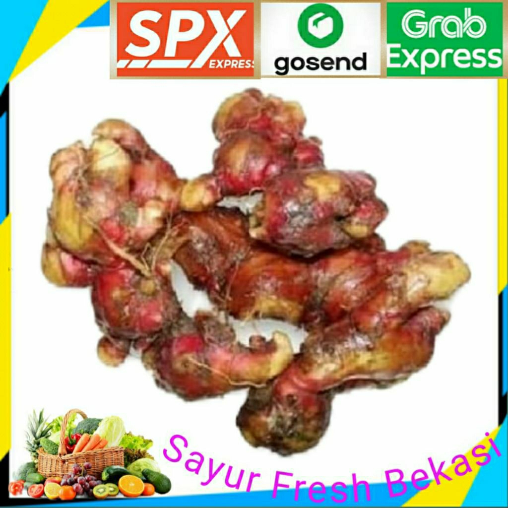 

Jahe Merah Fresh 500gr.