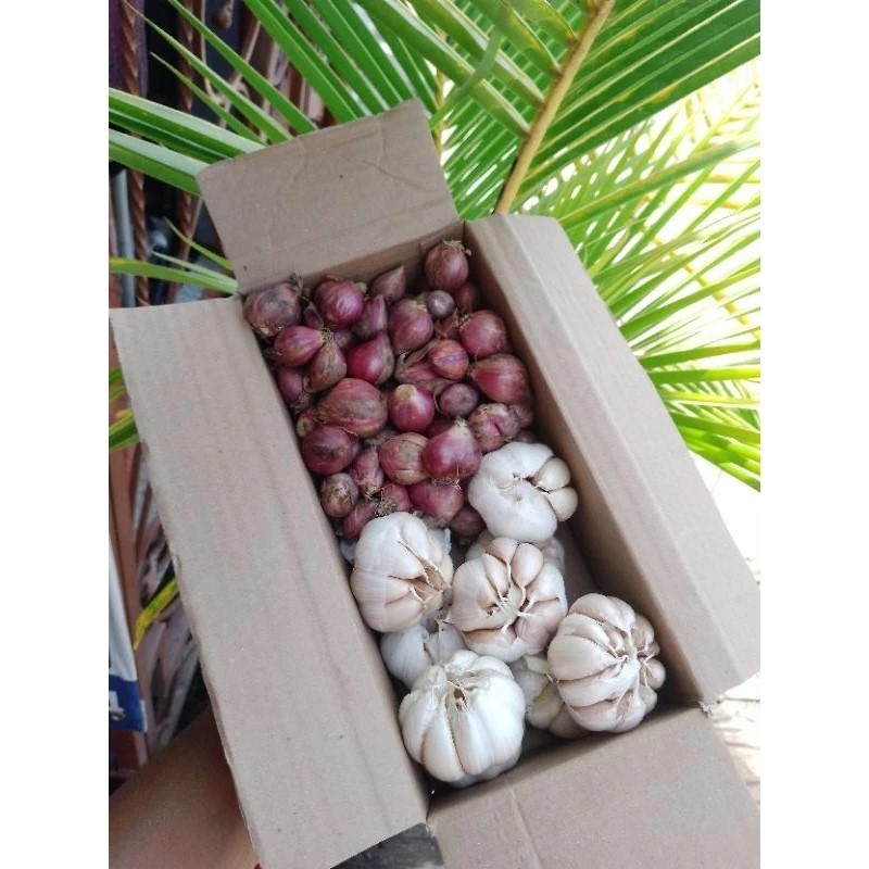 

Paket Bumbu Bawang Merah Bawang Putih 1kg Fresh