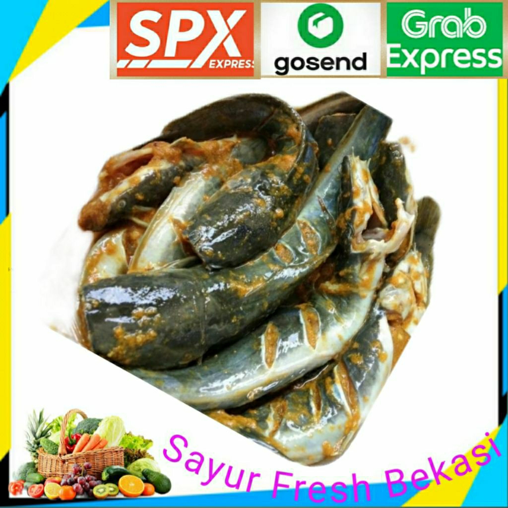 

Ikan Lele Bumbu Kuning 500gr.