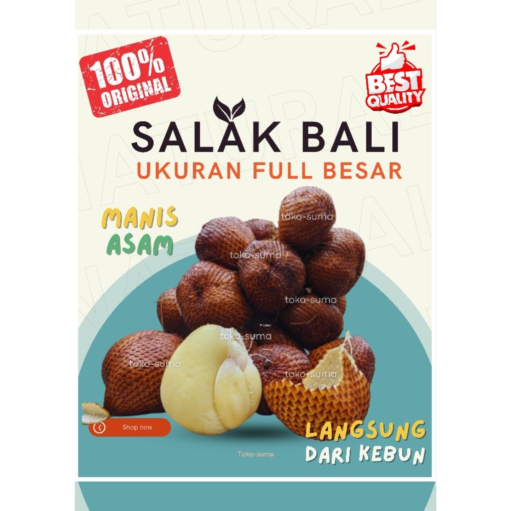 Salak Bali Asli (SORTIR)