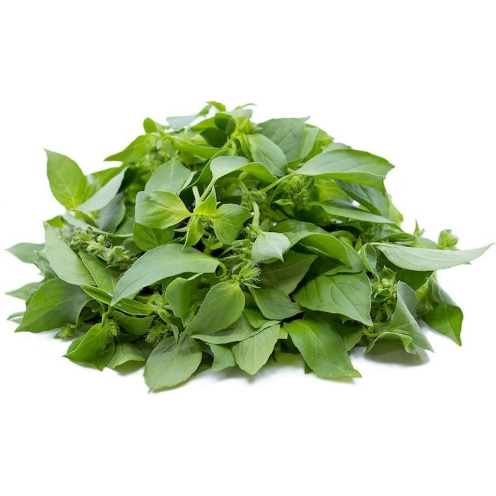 

Daun kemangi kemasan VAKUM Murah dan Praktis